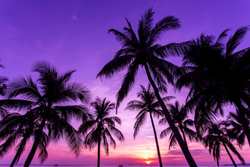 coconut tree at tropical coast, made with Vintage tones, and purple sky at the sunset ,warm tones - Powered by Adobe