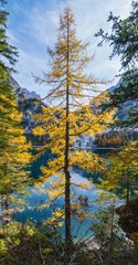 Autumn peaceful alpine lake Braies or Pragser Wildsee. Fanes-Sennes-Prags national park, South Tyrol, Dolomites Alps, Italy, Europe. Picturesque traveling, seasonal and nature beauty concept scene.