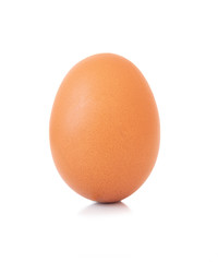 close-up egg chicken isolated on white background