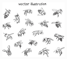 sketch of bees - obrazy, fototapety, plakaty