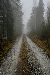 gravel road through a Swedish forest in Varmland