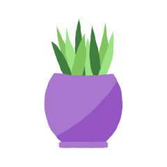 Vector illustration of a textured succulent in a purple plant pot. 