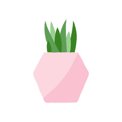 Vector illustration of a textured succulent in a pastel pink geometric plant pot. Houseplant graphic.