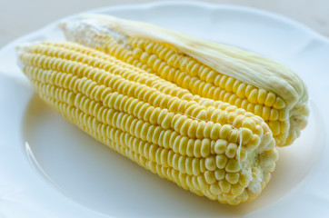 Fresh sweet corn on white plate, close up