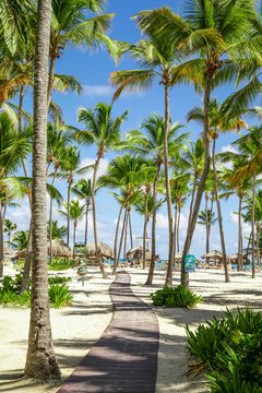 Punta Cana 
