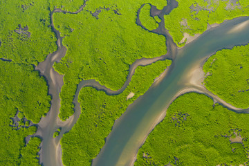 Aerial view of mangrove forest in the  Saloum Delta National Park, Joal Fadiout, Senegal. Photo...