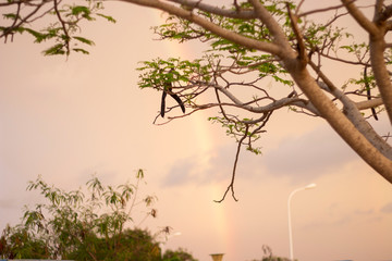 Fototapeta premium arco iris