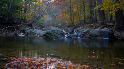 river stream and colored trees fall season