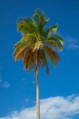 Punta Cana