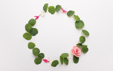 Wreath of seedlings and small rose isolated on white