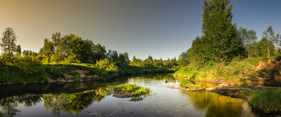 Tranquil summer evening landscape. panoramic view of the river with lush coastal vegetation, snags in the water, and sunset glow on the left