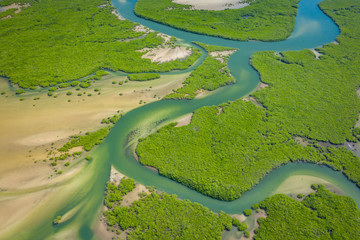 Aerial view of mangrove forest in the  Saloum Delta National Park, Joal Fadiout, Senegal. Photo made by drone from above. Africa Natural Landscape. - obrazy, fototapety, plakaty