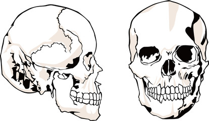 浮世絵　骸骨　その1