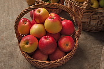 harvest of red apples in a basket on a table with burlap