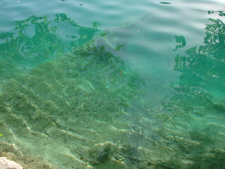Panorama of a clear, transparent surface of a mountain lake, through which water you can see the bottom covered with plants and old trees.