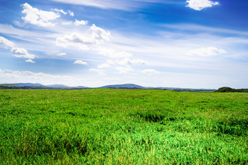 Green meadow and blue sky in the Sardinian countryside