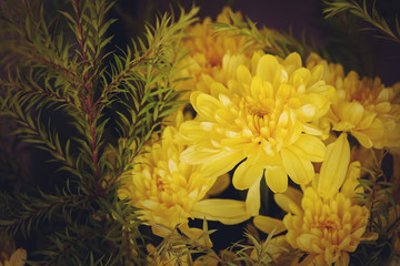 Beautiful yellow chrysanthemums bouquet - 305426947