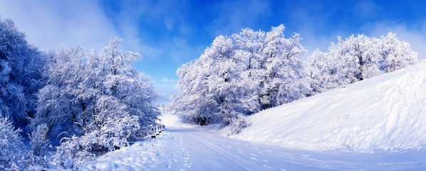 Fototapeta na wymiar Christmas winter landscape. Plateau Ai-Petri. Crimea
