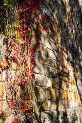 city views Karlovy Vary autumn. Czech Republic. Picturesque stone wall with autumn leaves
