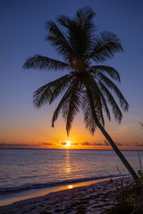 Punta Cana 