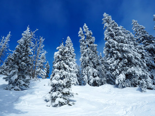 Winterwanderung in den Bayerischen Alpen