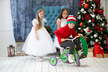 Merry children at the Christmas holiday. Little girls and boy in elegant clothes on a background of the Christmas tree