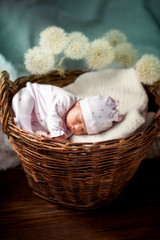 newborn baby sleeps sweetly in an old wicker basket.