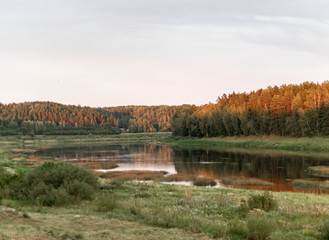 River and forest on sunset
