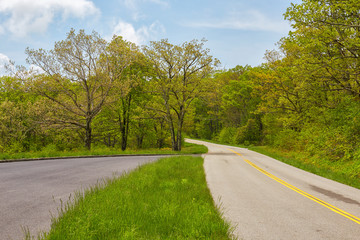 Fototapeta na wymiar Spring colors along the Blue Ridge Parkway between Waynesboro and Montebello, Virginia