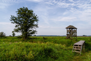 Narwiański Park Narodowy - Narwiańskie Bagna - Natura 2000, Narew, Podlasie, Polska © podlaski49
