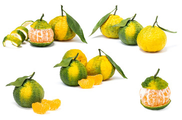 Collection of tangerines with leaves, closeup, isolated on white