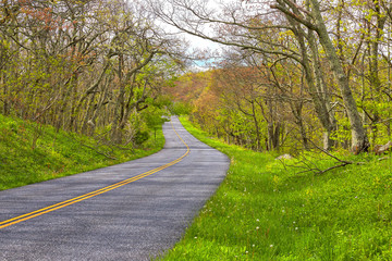 Fototapeta na wymiar Spring foliage along the Blue Ridge Parkway at Apple Orchard Mountain near Bedford, Virginia