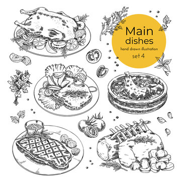 set of illustrations with main dishes for menu design. meat dishes. hand drawn vector illustration. sketches