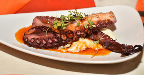 Grilled octopus with mashed potatoes close up. The traditional Mediterranean food.