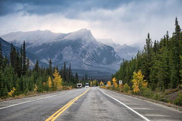 Scenic road trip with rocky mountain in autumn pine forest at Banff national park