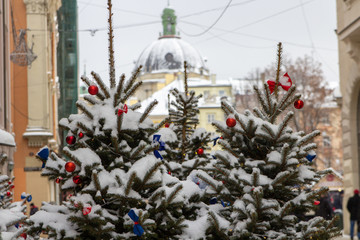 beautiful Christmas tree on church background,many Christmas trees covered with snow in the city