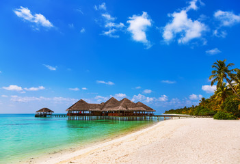Cafe on tropical Maldives island