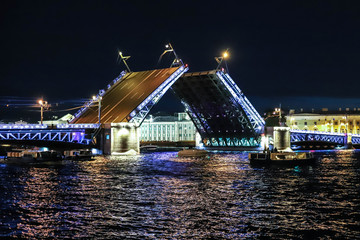 Fototapeta na wymiar Palace bridge at night. Divorce bridges. Saint-Petersburg. 