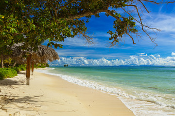 Tropical beach at island La Digue - Seychelles