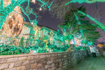 DYKER HEIGHTS, NY - DECEMBER 6, 2018: Christmas lights house decoration display in the suburban Brooklyn neighborhood of Dyker Heights in December