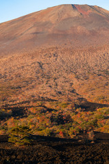 岩手県八幡平　焼走り溶岩流と岩手山の山肌の紅葉景色	