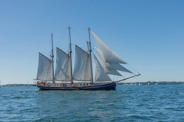 Fototapeta na wymiar sailing ship in the sea on traditional sailing ships sail Kiel week at the Kiel Fjord