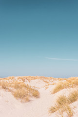 Dünenlandschaft auf Sylt im Sommer mit blauem Himmel - 305437513