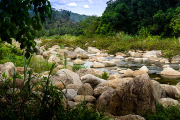 Nature, river in the middle of the forest in Thailand