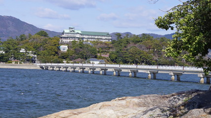 海と橋