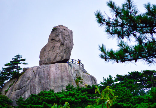 Huangshan (Yellow Mountain) Giant Stone and Huangshan Pine. Located at Anhui province China, Huangshan is a UNESCO World heritage site and one of China's major tourist destinations.