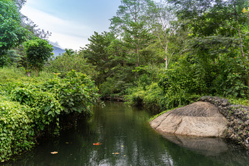 Nature, river in the middle of the forest in Thailand