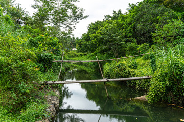 Nature, river in the middle of the forest in Thailand