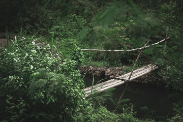 Nature, river in the middle of the forest in Thailand