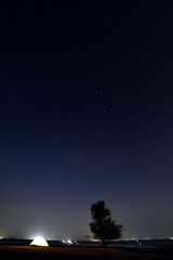 Camping in the forest at night